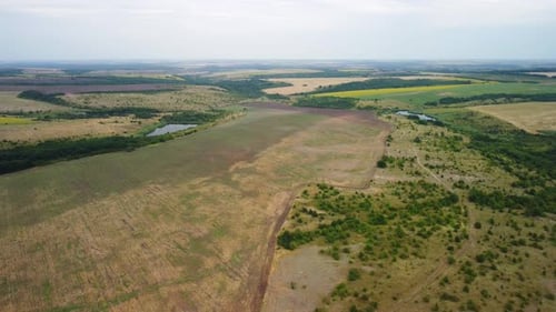 Blick von oben auf die Felder mit Teichen