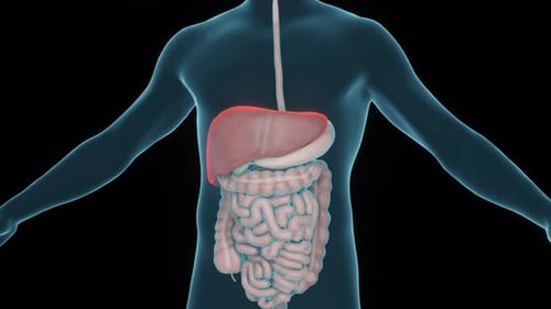 The Concept of Diagnosis of Gastrointestinal Diseases