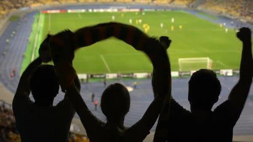Friends Supporting Soccer Team, Watching Football Match at Stadium, Sports