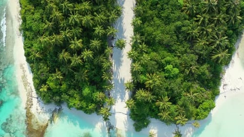 Aerial flying over sky of perfect seashore beach trip by turquoise ocean and white sandy background