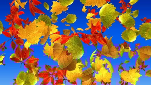 Vibrant Autumn Leaves Falling Seamless Loop