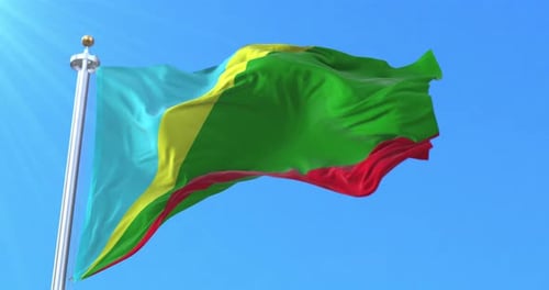 Drapeau du peuple Huilliche