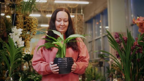 Female Botanist Holding in Hands Green Houseplant in Pot Inside Orangery