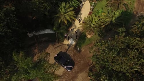 Aerial View of Bride and Groom in Tropical Garden