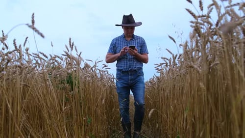Young Agronomist on a Wheat Field