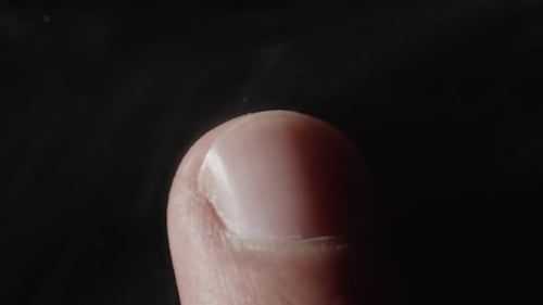 Authentifizierung mit dem biometrischen Fingerabdruckscanner