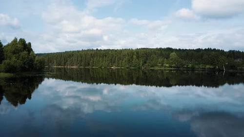 View of lake and trees