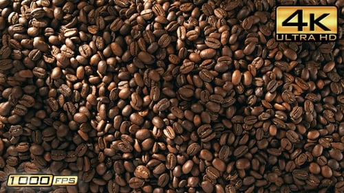 Birds Eye View of Roasted Coffee Beans