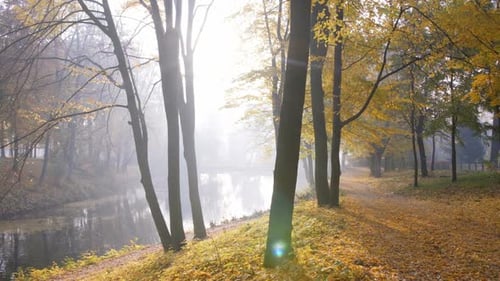 See im Herbst