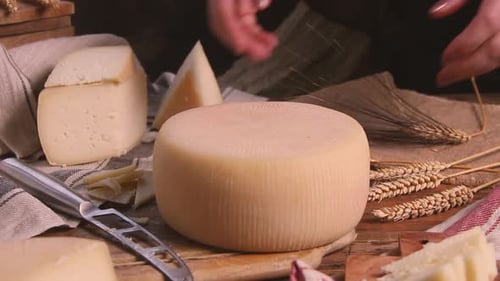 Women hands take away a wheel of fresh homemade cheese close up