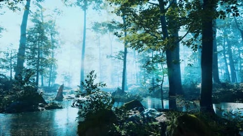 Forest with Pond and Mist with Sunrays