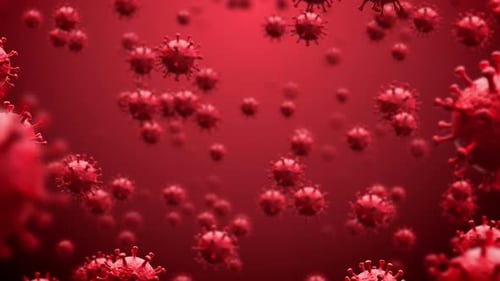 Antecedentes del virus Covid 19