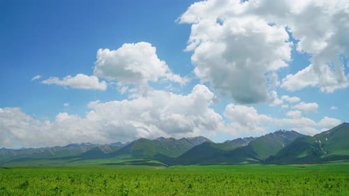 Montagnes et prairies
