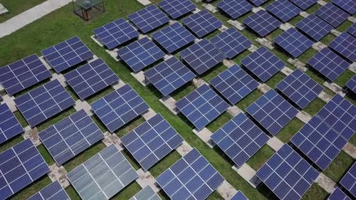 solar panel plant