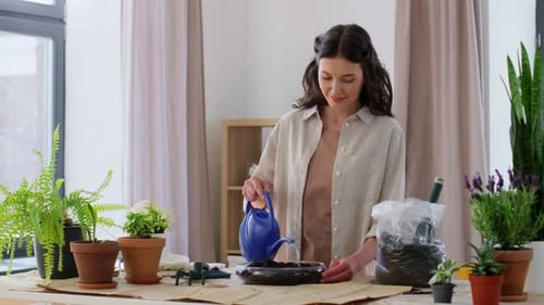 Woman Watering Seedlings Among Potted Plants Indoors