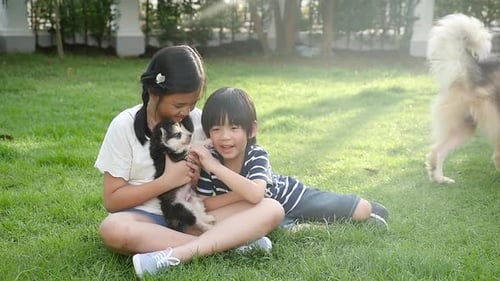 Happy Asian Children Playing With Siberian Husky Dog In The Garden Slow Motion
