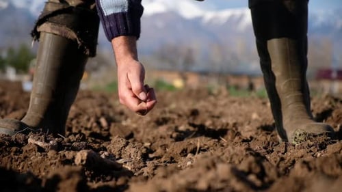 Farmer Planting Seeds on Farm