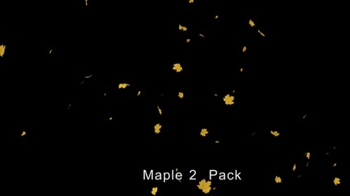 Falling Golden Maple Leaves Animation Pack
