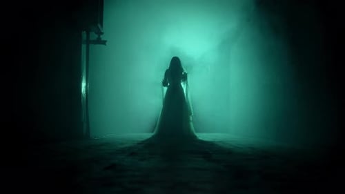 Silhouette of Figure in White Gown in Fog
