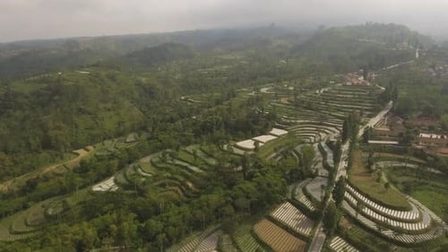 Lush Aerial View of Terraced Rural Landscape