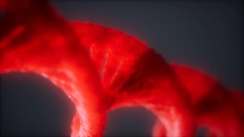 Loop Double Helical Structure of Dna Strand Close-up Animation