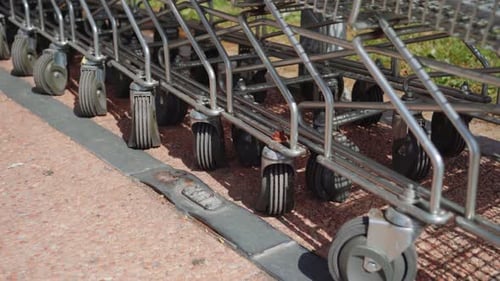 Shopping Carts in the Supermarket