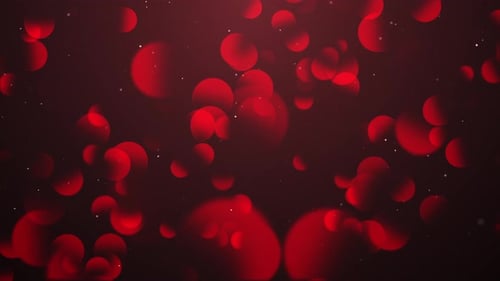 Abstract Red Fluid Circles Particle Background Animation