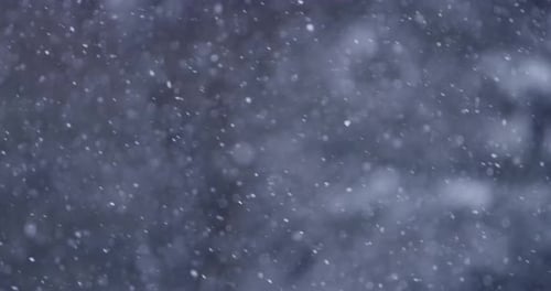 Aufnahmen von fallendem Schnee