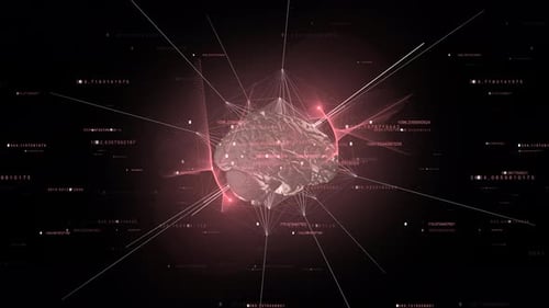 Brain Map Science Pink