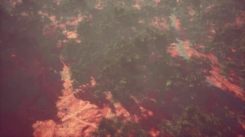 Aerial View of Landscape with Green Tropical Trees and Local Roads