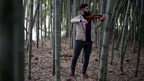 Fiddler in Bamboo Grove Handsome Man is Playing Music By Old Violin in Nature
