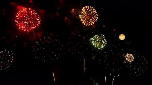 Vibrant Fireworks Exploding in the Night Sky