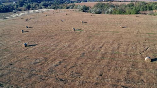 Wunderschöner Morgenflug über Heuhaufen. Das Feld ist mit Heu bedeckt.