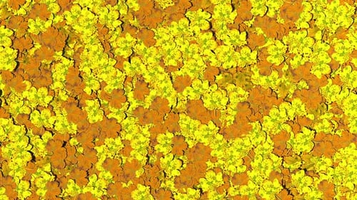 Yellow and Orange Autumn Leaves Background