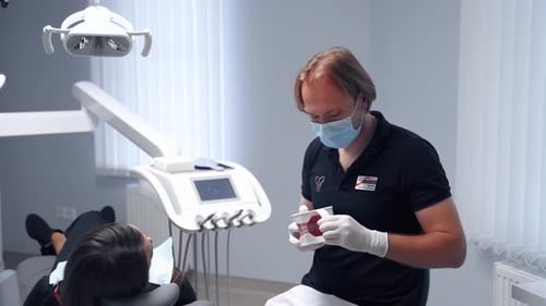 Dentist Explains Teeth Model to Patient in Office