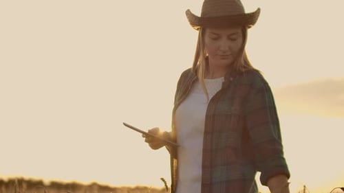 A Female Farmer in a Plaid Shirt with a Tablet Computer in Her Hands is Walking Across a Wheat Field