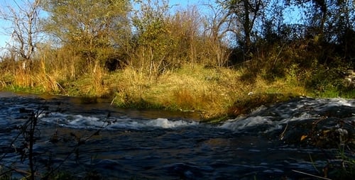 Around the River 1