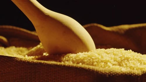 Scooping Rice from Burlap Sack with Wooden Spoon