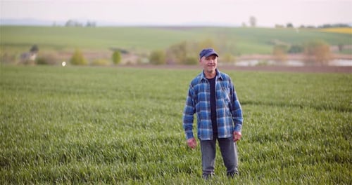 Man Stands Proudly in a Green Agricultural Field