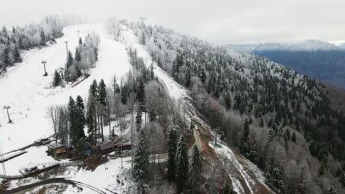Aerial View of a Beautiful Winter Landscape with Snowy Green Coniferous Forest