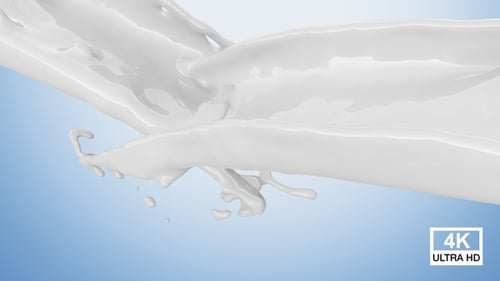 Milk Collision