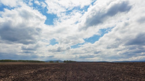 Plowed Field (4 pack)