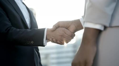Adults Shaking Hands in Business Agreement