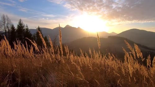 Friedlicher Sonnenaufgang über Berglandschaft und trockenem Gras