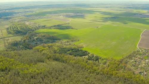 Aerial View Of Forest Village And Country Field Skyline In Spring Sunny Day