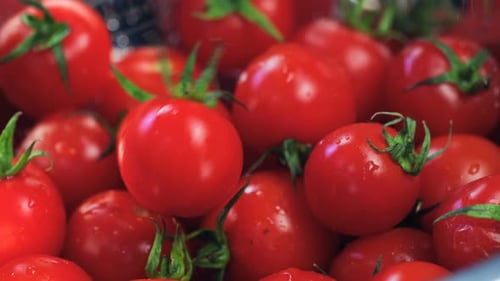 Fresh Red Cherry Tomatoes Close-Up