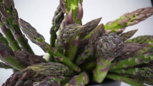 Spargel 35