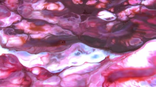 Colorful Paints Mixing in Abstract Swirl