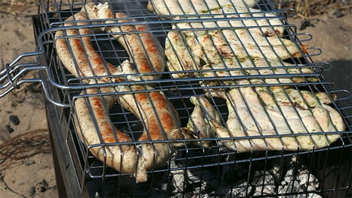 Barbecue 3
