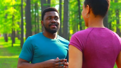 African American Couple Talking Together in Summer Park